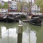 IMG_0055